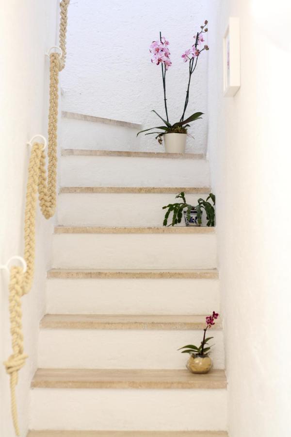 Villa Drina Ischia Exterior photo