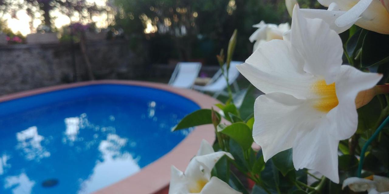 Villa Drina Ischia Exterior photo